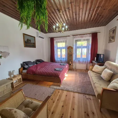 Vidam Vandor Vendeghaz Case de vacanță Parád